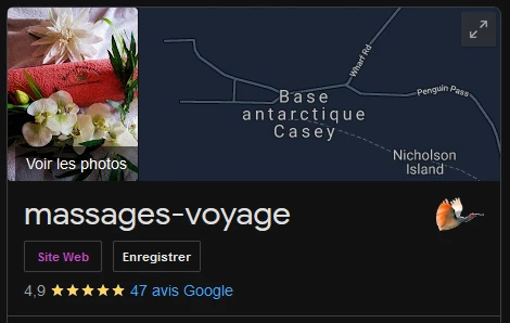 Avis Google